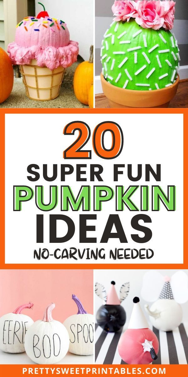 20 Best No Carve Pumpkin Ideas You Need To Try This Year Pretty Sweet