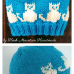 5 Cat Hat Free Knitting Pattern And Paid Knitting Patterns Free