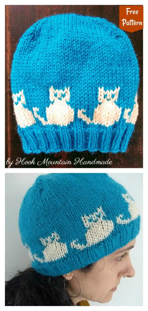 5 Cat Hat Free Knitting Pattern And Paid Knitting Patterns Free 