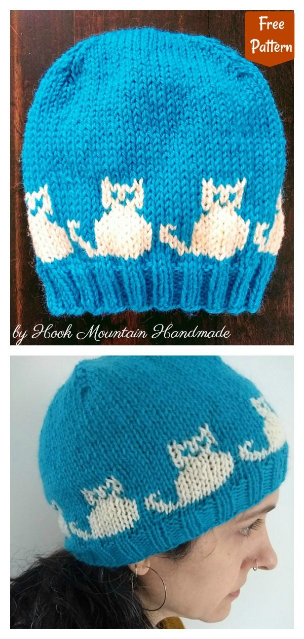 5 Cat Hat Free Knitting Pattern And Paid Knitting Patterns Free