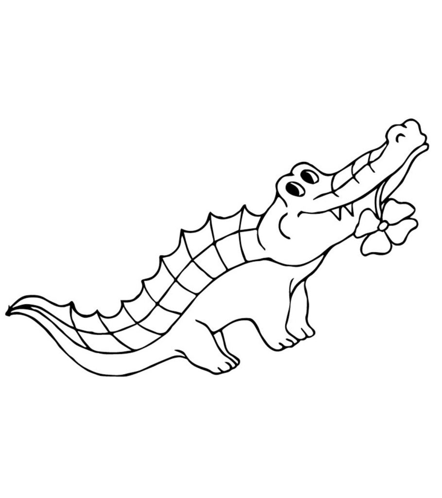 Alligator Coloring Pages Printable Portal Tribun