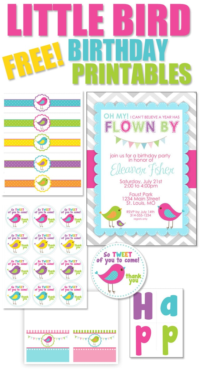 Bird Birthday Party With FREE Printables How To Nest For Less 