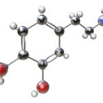 Bonds Definition And Examples In Chemistry Chemical Bond Chemistry Bond