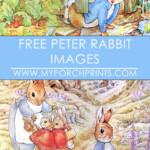 Free Peter Rabbit Beatrix Potter Images Download Peter Rabbit