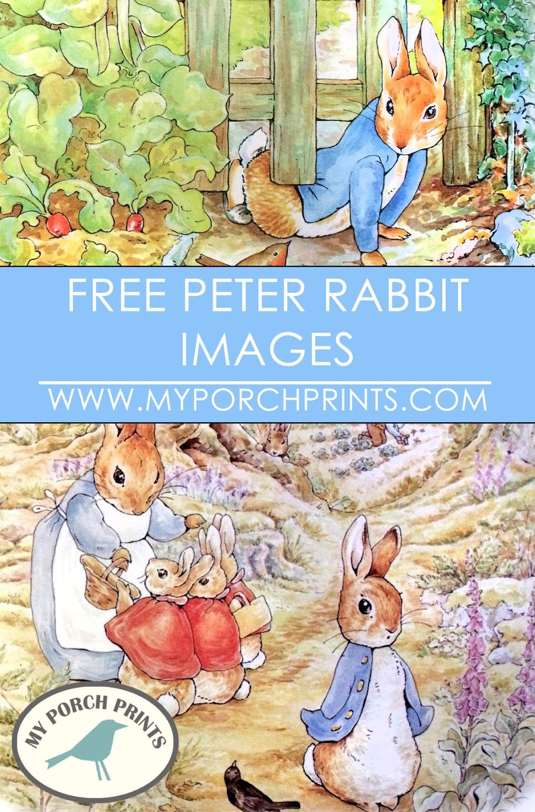 Free Peter Rabbit Beatrix Potter Images Download Peter Rabbit 