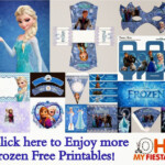 Frozen Themed Party Decorations Frozen Party Invitations Frozen