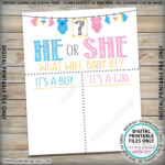 Gender Reveal Party Voting Sign He Or She What Will Baby Be Gender