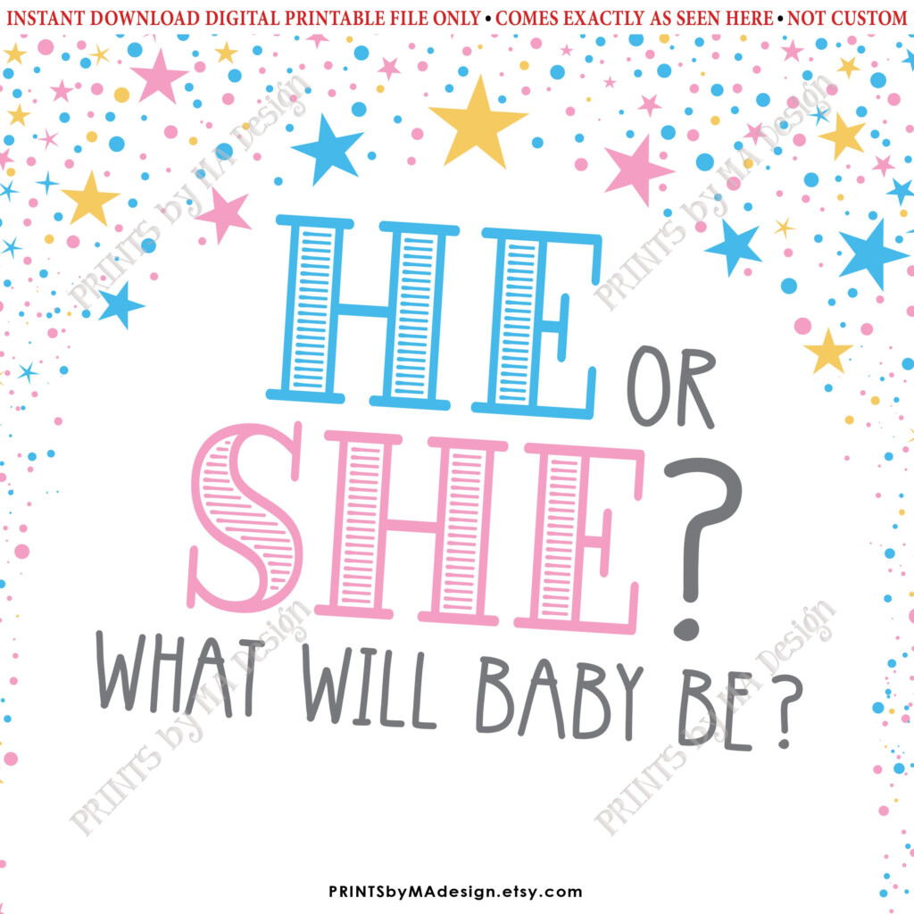 He Or She What Will Baby Be Gender Reveal Party PRINTABLE 8x10 16x20 