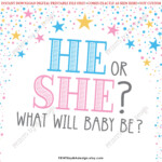 He Or She What Will Baby Be Gender Reveal Party PRINTABLE 8x10 16x20