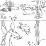 Over The Pond Coloring Pages Richard McNary s Coloring Pages