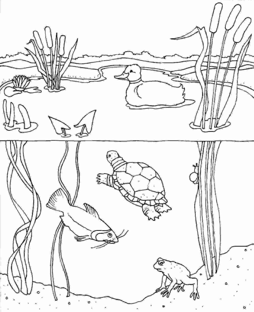 Over The Pond Coloring Pages Richard McNary s Coloring Pages