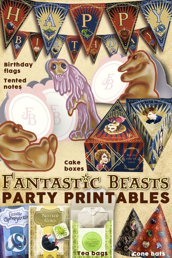 Pin By Jeremy Henson On Fantastic Beasts Harry Potter Birthday Party 