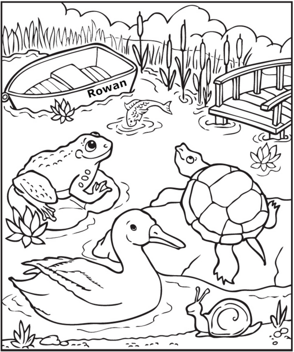 Pond Coloring Pages Preschool Coloring Pages