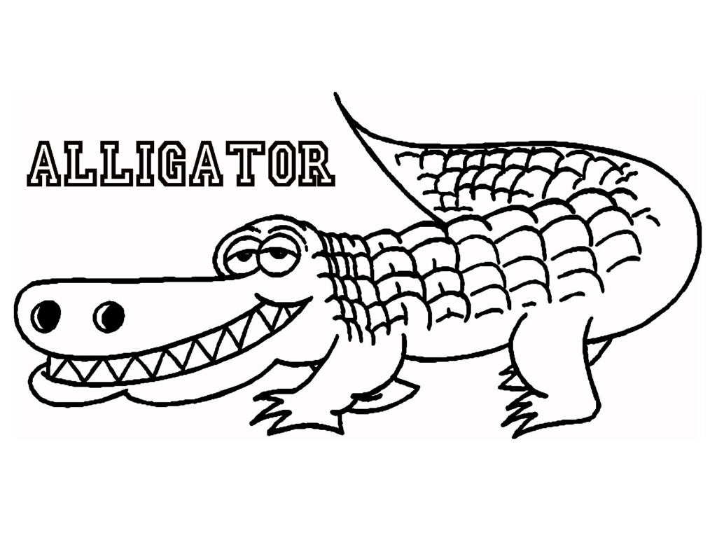 TOP48 Alligator Dessin Aper u Amormundi