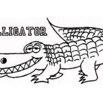 TOP48 Alligator Dessin Aper u Amormundi