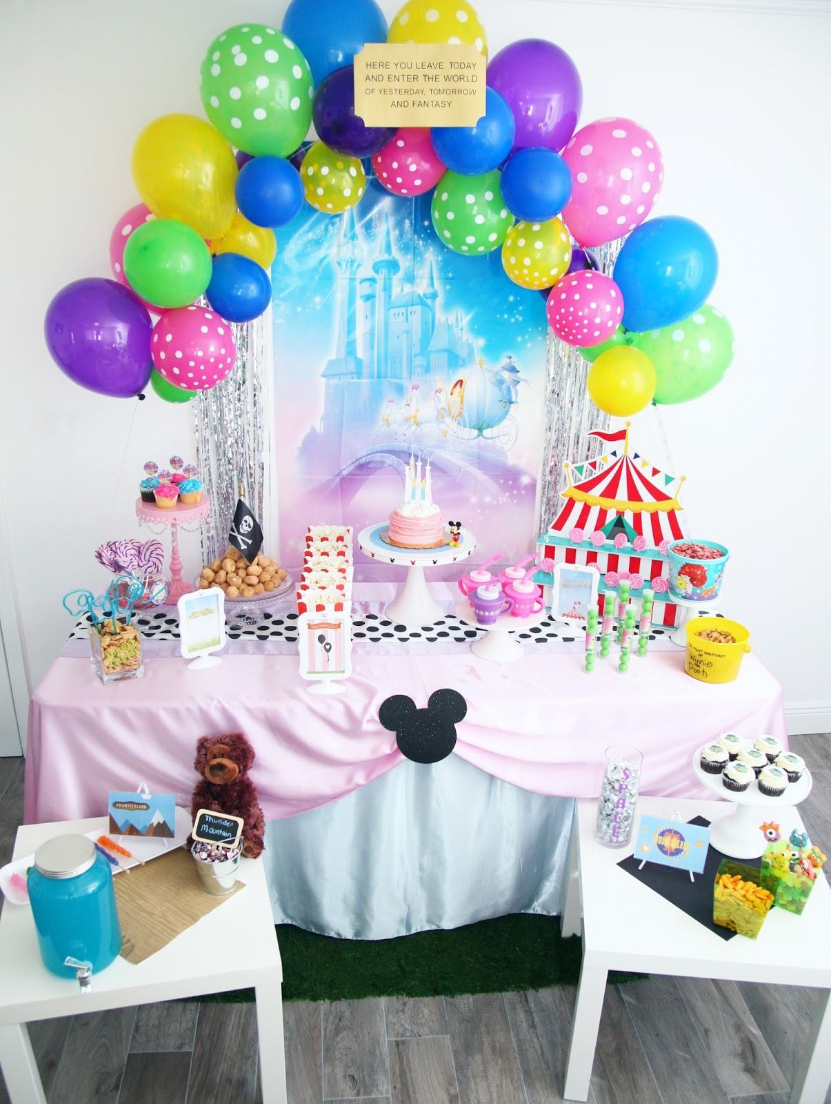 Walt Disney World Birthday Party Celebration Stylist Popular Party 